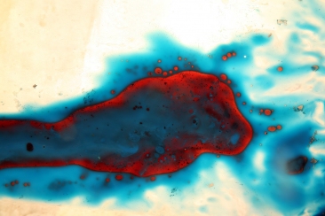 gallery/15x104315tfg