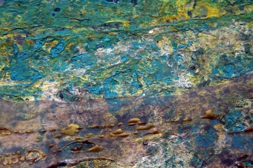 gallery/10x15-3254tfg